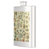 schelp schelp schelp schelp schelp elegante klassi flacon (Links)