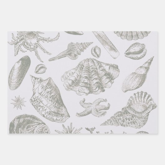 schelp schelp schelp schelp schelp elegante klassi inpakpapier vel (Voorkant 2)