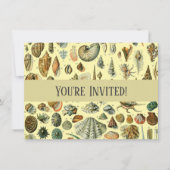 schelp schelp schelp schelp schelp elegante klassi kaart (Voorkant)