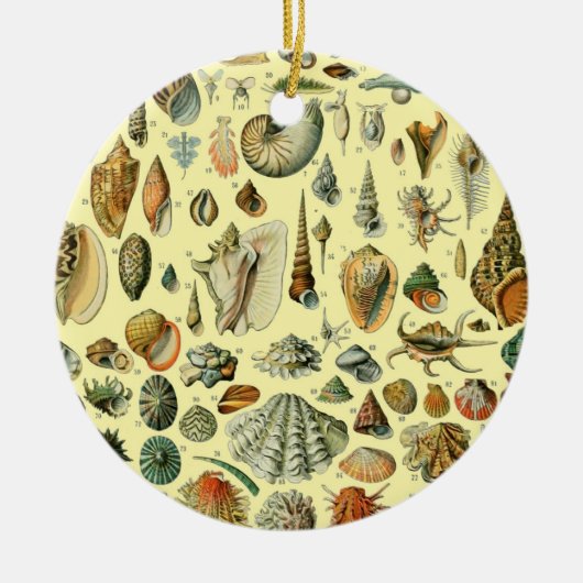 schelp schelp schelp schelp schelp elegante klassi keramisch ornament (Voorkant)