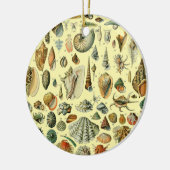 schelp schelp schelp schelp schelp elegante klassi keramisch ornament (Links)
