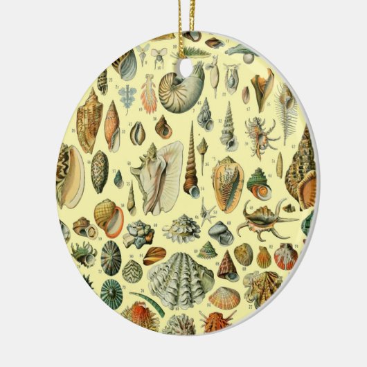schelp schelp schelp schelp schelp elegante klassi keramisch ornament (Links)