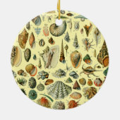 schelp schelp schelp schelp schelp elegante klassi keramisch ornament (Achterkant)