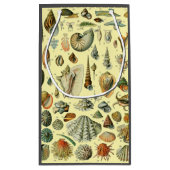 schelp schelp schelp schelp schelp elegante klassi klein cadeauzakje (Achterkant)