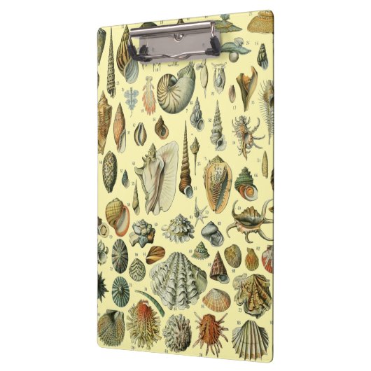 schelp schelp schelp schelp schelp elegante klassi klembord (Links)