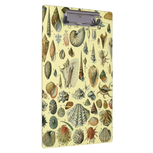 schelp schelp schelp schelp schelp elegante klassi klembord (Rechts)