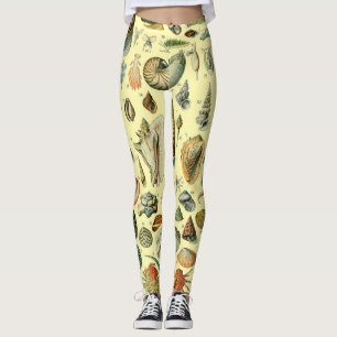 schelp schelp schelp schelp schelp elegante klassi leggings