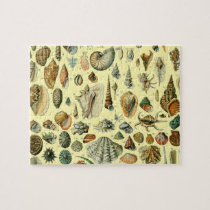 schelp schelp schelp schelp schelp elegante klassi legpuzzel