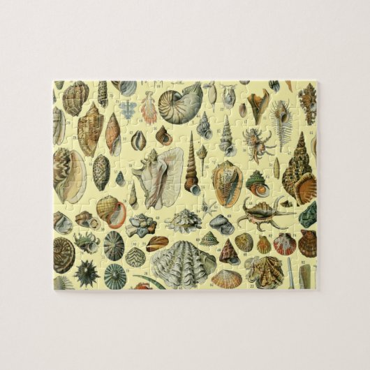 schelp schelp schelp schelp schelp elegante klassi legpuzzel (Horizontaal)