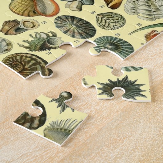 schelp schelp schelp schelp schelp elegante klassi legpuzzel (Zijkant)