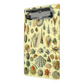 schelp schelp schelp schelp schelp elegante klassi mini klembord (Angled2)