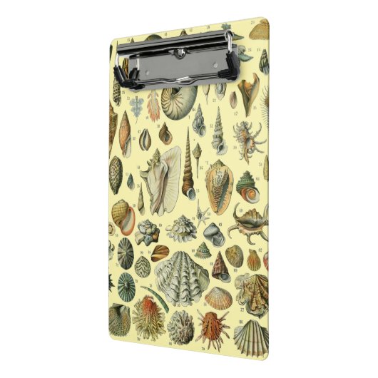 schelp schelp schelp schelp schelp elegante klassi mini klembord (Angled2)