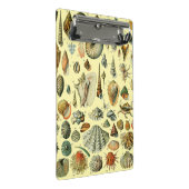 schelp schelp schelp schelp schelp elegante klassi mini klembord (Schuin)