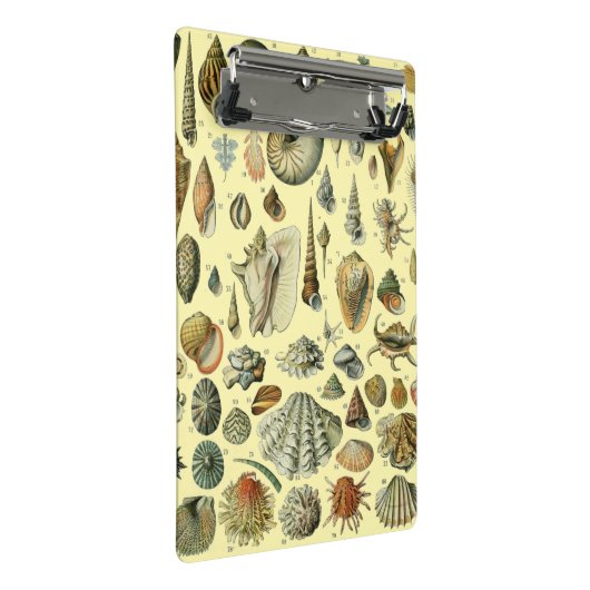 schelp schelp schelp schelp schelp elegante klassi mini klembord (Schuin)