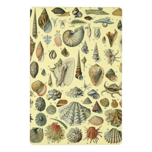 schelp schelp schelp schelp schelp elegante klassi mini klembord (Achterkant)