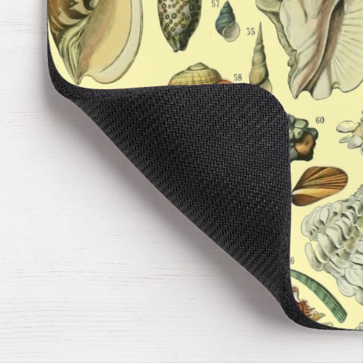 schelp schelp schelp schelp schelp elegante klassi muismat (Hoek)