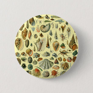 schelp schelp schelp schelp schelp elegante klassi ronde button 5,7 cm