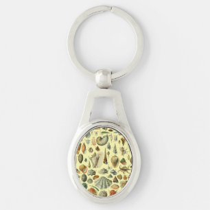 schelp schelp schelp schelp schelp elegante klassi sleutelhanger