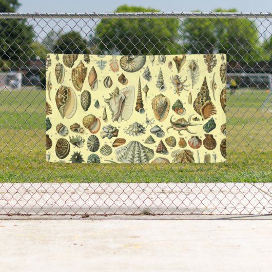 schelp schelp schelp schelp schelp elegante klassi spandoek (Insitu)