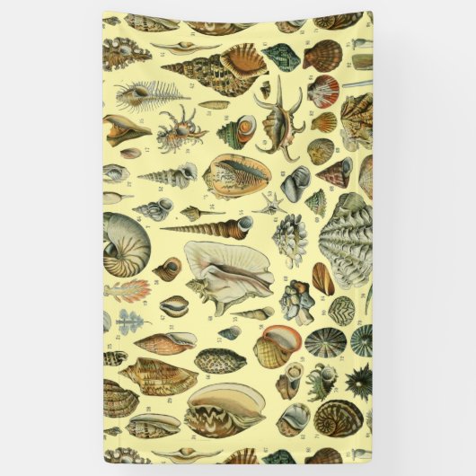 schelp schelp schelp schelp schelp elegante klassi spandoek (Verticaal)