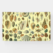 schelp schelp schelp schelp schelp elegante klassi spandoek (Horizontaal)