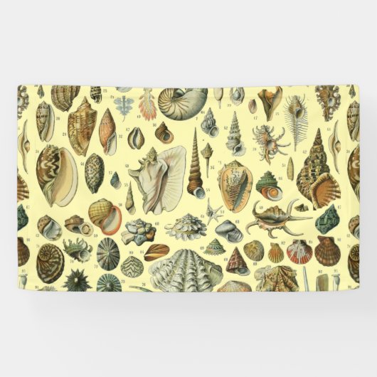 schelp schelp schelp schelp schelp elegante klassi spandoek (Horizontaal)