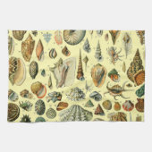 schelp schelp schelp schelp schelp elegante klassi theedoek (Horizontaal)