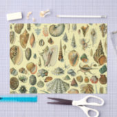 schelp schelp schelp schelp schelp elegante klassi tissuepapier (Craft)