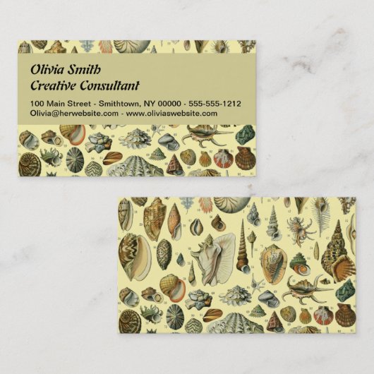 schelp schelp schelp schelp schelp elegante klassi visitekaartje (Voorkant / Achterkant)