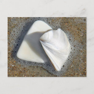Schelpen en Zand Briefkaart