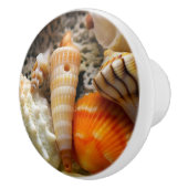 Schelpen Keramische knop (Rechts)