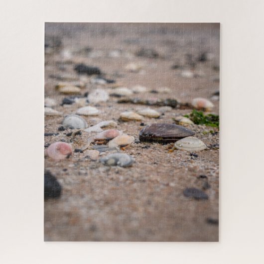 Schelpen op het strand puzzel (Verticaal)