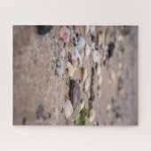 Schelpen op het strand puzzel (Horizontaal)