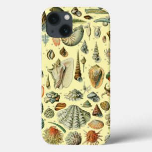 Schelpen Schelp Weekdier Mossel Elegante Klassieke iPhone 13 Hoesje