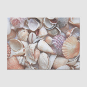 Schelpen Schets Oceaan Zeevaart Strand Decoupage Tissuepapier