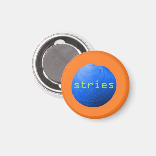 Schelpen. Stries Magneet (Voorkant / Achterkant)