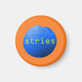 Schelpen. Stries Magneet