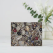 Schelpen van de Caraïbische en Pacifische Shell Briefkaart (Staand voorkant)