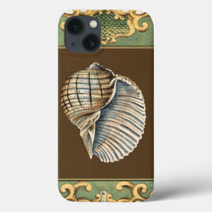 Schelpen van de Kleine Zeemeermin iPhone 13 Hoesje