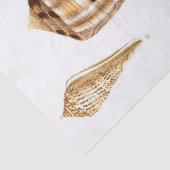 schelpenpapier tissuepapier (Detail)