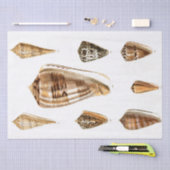 schelpenpapier tissuepapier (Craft)