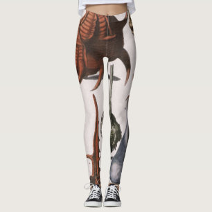 Schelpjes, Antieke Zee Schelpen, Oceaan Zeeleven Leggings