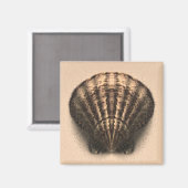 Schelpmagneet Magneet (Voorkant / Achterkant)