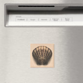 Schelpmagneet Magneet (Insitu (Vaatwasser))