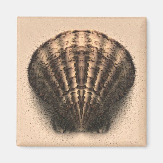 Schelpmagneet Magneet (Voorkant)