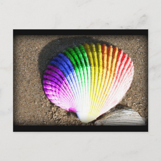 schelptrots briefkaart (Voorkant)