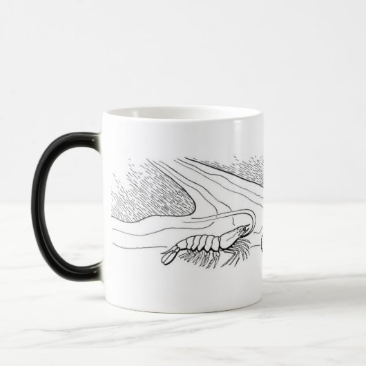 Schelvis magische mok (Links)