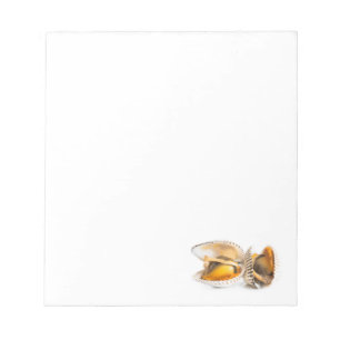 Schelvis Notitieblok