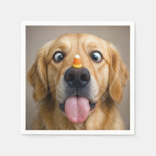 Schelvisogende Golden Retriever Met Candy Corn Servet