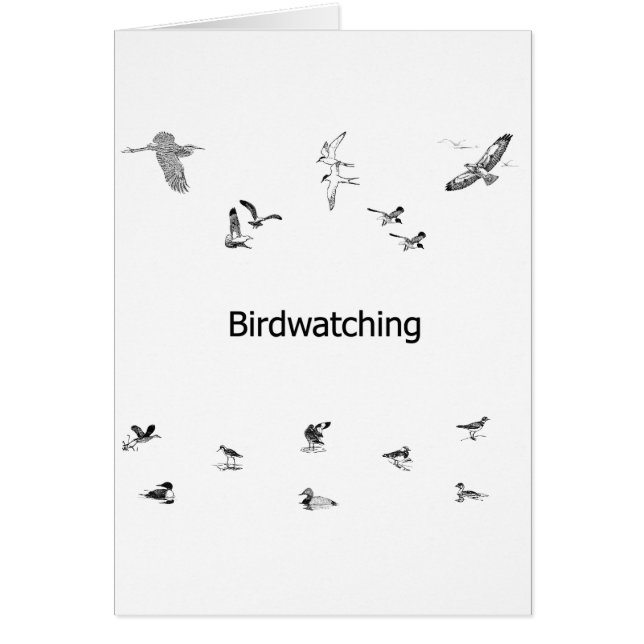 Schéma observation des oiseaux (Devant)
